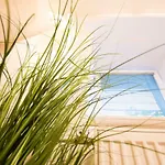 Appartement The Maze
