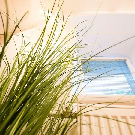 Apartamento The Maze